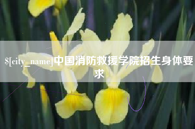 吐鲁番中国消防救援学院招生身体要求