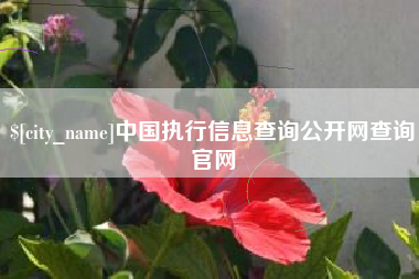 吐鲁番中国执行信息查询公开网查询官网