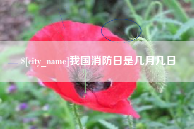 吐鲁番我国消防日是几月几日