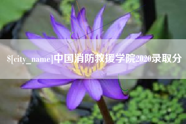 吐鲁番中国消防救援学院2020录取分