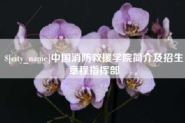 吐鲁番中国消防救援学院简介及招生章程指挥部