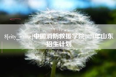 吐鲁番中国消防救援学院2021年山东招生计划