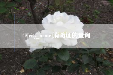 吐鲁番消防证的查询