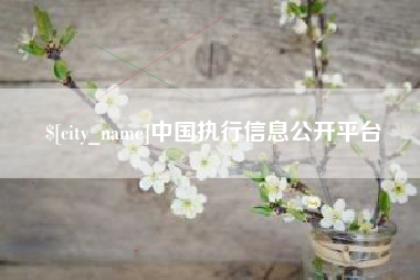 吐鲁番中国执行信息公开平台