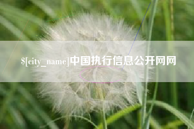 吐鲁番中国执行信息公开网网