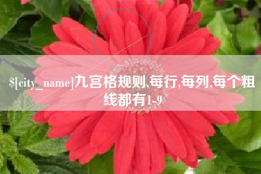 吐鲁番九宫格规则,每行,每列,每个粗线都有1-9