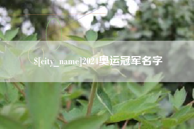 吐鲁番2024奥运冠军名字