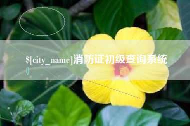 吐鲁番消防证初级查询系统