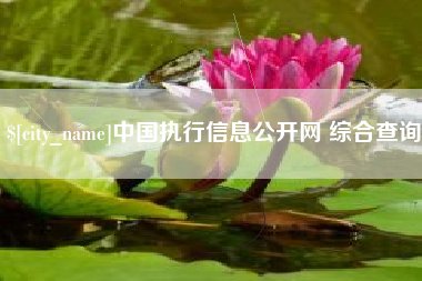吐鲁番中国执行信息公开网 综合查询