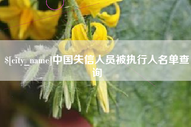 吐鲁番中国失信人员被执行人名单查询