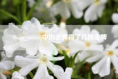 吐鲁番中国金牌得了几枚金牌
