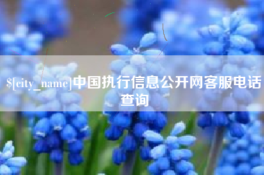 吐鲁番中国执行信息公开网客服电话查询