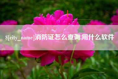 吐鲁番消防证怎么查询,用什么软件