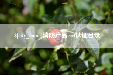 吐鲁番消防产品cccf认证目录