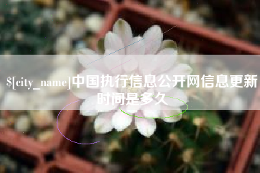 吐鲁番中国执行信息公开网信息更新时间是多久