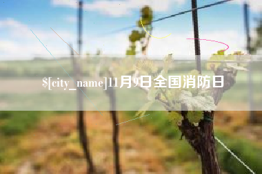 吐鲁番11月9日全国消防日