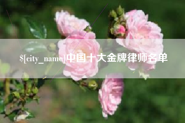 吐鲁番中国十大金牌律师名单