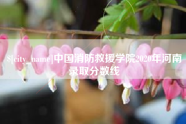 吐鲁番中国消防救援学院2020年河南录取分数线