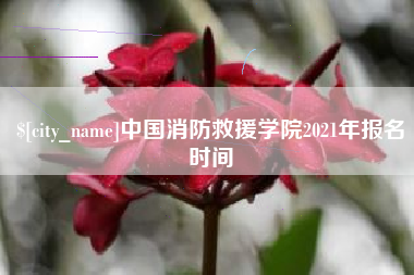 吐鲁番中国消防救援学院2021年报名时间