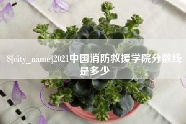 吐鲁番2021中国消防救援学院分数线是多少
