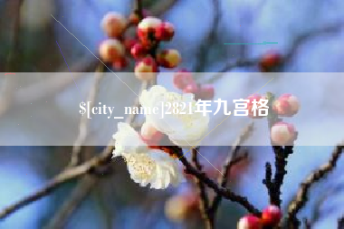 吐鲁番2821年九宫格