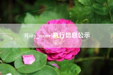 吐鲁番执行信息公示