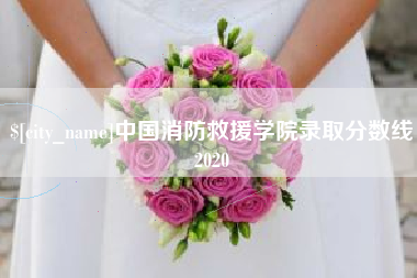 吐鲁番中国消防救援学院录取分数线2020
