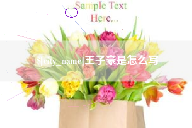 吐鲁番王子豪是怎么写