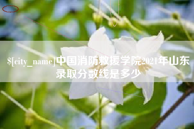 吐鲁番中国消防救援学院2021年山东录取分数线是多少