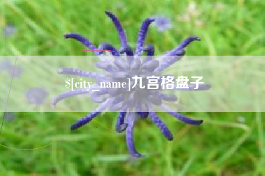 吐鲁番九宫格盘子