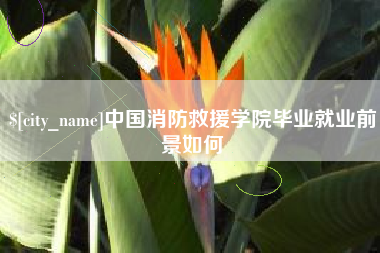 吐鲁番中国消防救援学院毕业就业前景如何