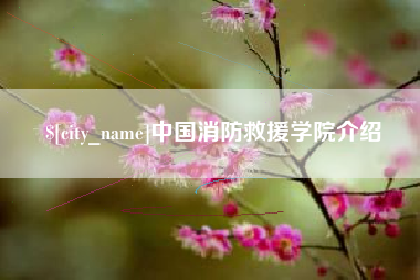 吐鲁番中国消防救援学院介绍