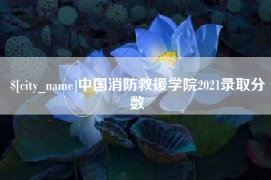 吐鲁番中国消防救援学院2021录取分数