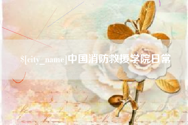 吐鲁番中国消防救援学院日常