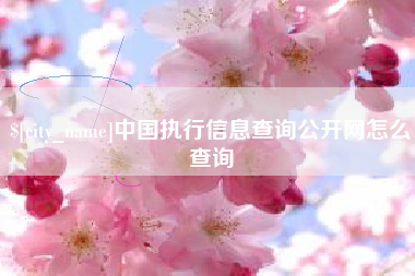 吐鲁番中国执行信息查询公开网怎么查询