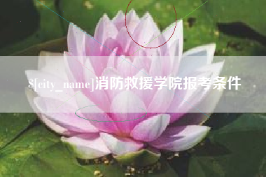 吐鲁番消防救援学院报考条件