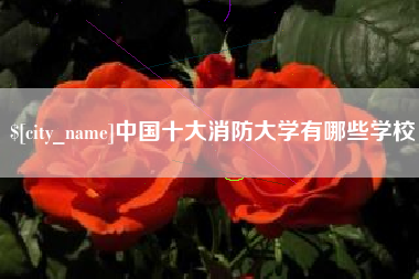 吐鲁番中国十大消防大学有哪些学校