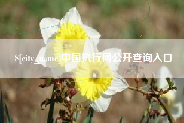 吐鲁番中国执行网公开查询入口
