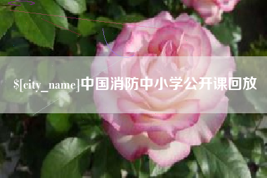 吐鲁番中国消防中小学公开课回放