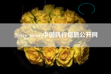 吐鲁番中国执行信息公开网