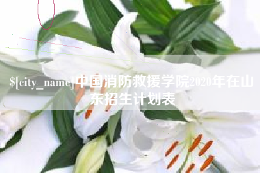 吐鲁番中国消防救援学院2020年在山东招生计划表