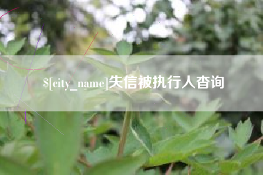 吐鲁番失信被执行人杳询
