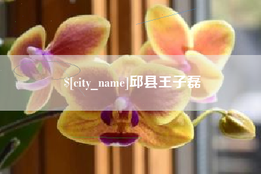 吐鲁番邱县王子磊