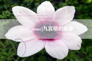 吐鲁番九宫格的来源