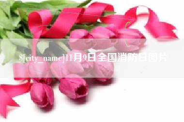 吐鲁番11月9日全国消防日图片