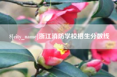 吐鲁番浙江消防学校招生分数线