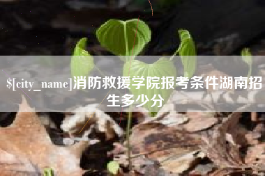 吐鲁番消防救援学院报考条件湖南招生多少分