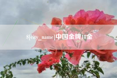 吐鲁番中国金牌18金
