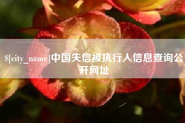 吐鲁番中国失信被执行人信息查询公开网址