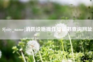 吐鲁番消防设施操作员证书查询网址